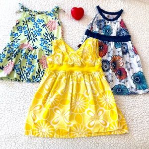 Tea collection 2/3 toddler dress/tunic bundle